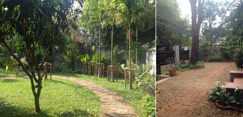 new modern thai garden landscaping thailand