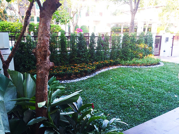 bangkok landscaping