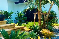 The new plants and trees have transformed the home