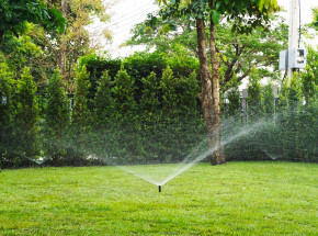 Sprinkler System for Urban Bangkok Gardens