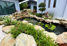 Tropical Pond Design in Pattaya, Thailand