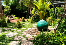Tropical Memorial Garden for Gill Daley, Founder of Soi Dog Foundation