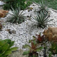 Pebbles and Rock