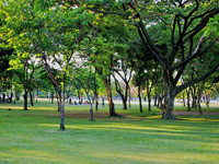 Famous Gardens in Thailand - Lumpini Park Bangkok