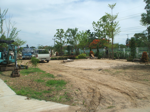gardening and landscaping in thailand
