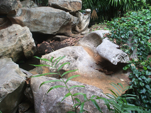 using rock in your thai garden
