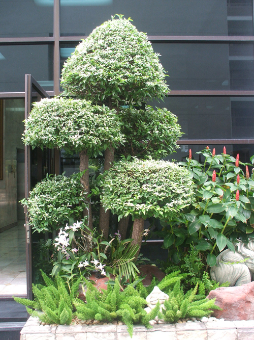 office landscaping