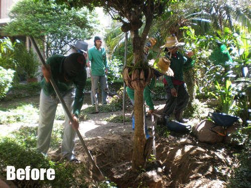 garden design bangkok suphanburi garden designer thailand