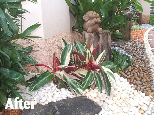 rock and pebble garden in thailand