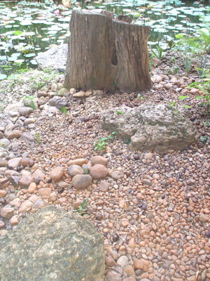 rock and pebble path landscaping thailand