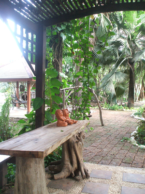 tropical views in thailand