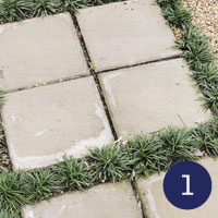 stone and grass path