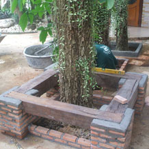 thai tree seat construction