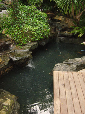 pond and water feature maintenance in thailand