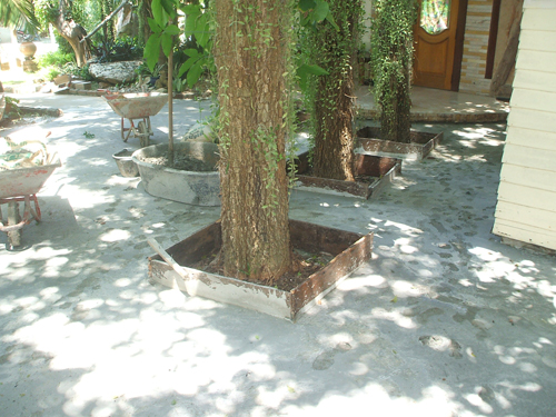 tree seats in thai garden