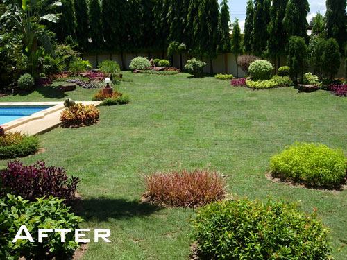 garden designer pattaya