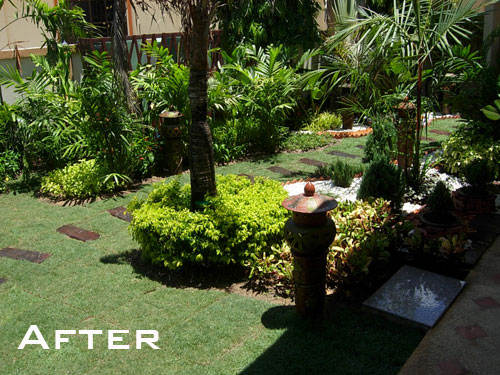 landscaping design garden in pattaya