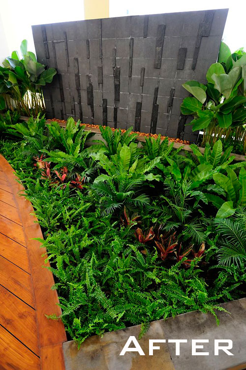 tropical indoor garden thailand