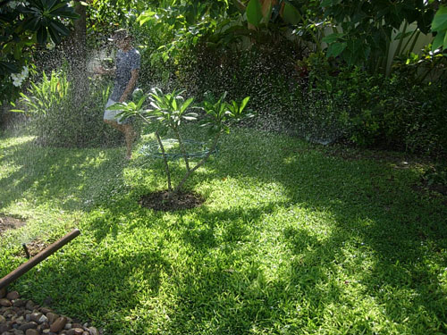 sprinkler installation in thailand