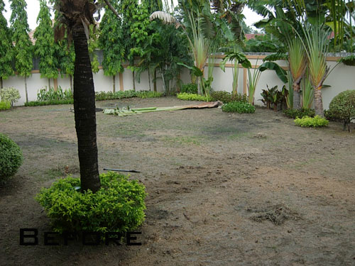 pattaya landscaping and garden