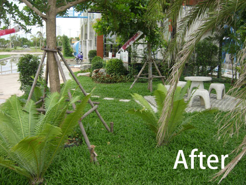 bangkok garden design and landscaping