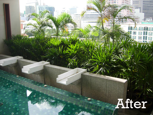 Tropical Planting in Indoor Pool Garden, Bangkok - Thai ...