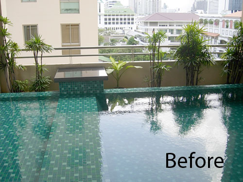 tropical planting schemes in thailand (indoor pool)