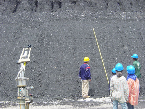 growing grass on coal thailand grassing company