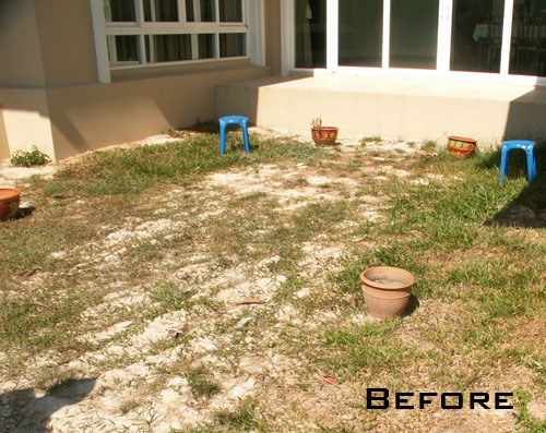 Dealing With Roof Run Off And Drainage Build A New Garden Pond