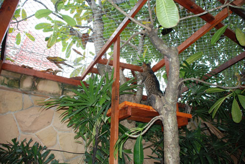 garden animal enclosure