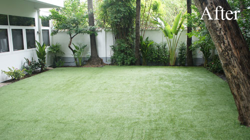 grass lawn bangkok