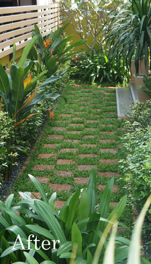 garden designer bangkok
