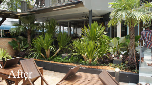 Garden Restaurant Design Ideas : New garden for sukhumvit eatery wine bar thai