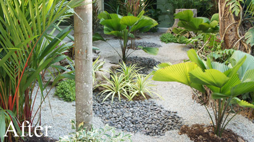 modern japanese garden in thailand