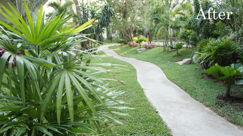 thailand landscaping