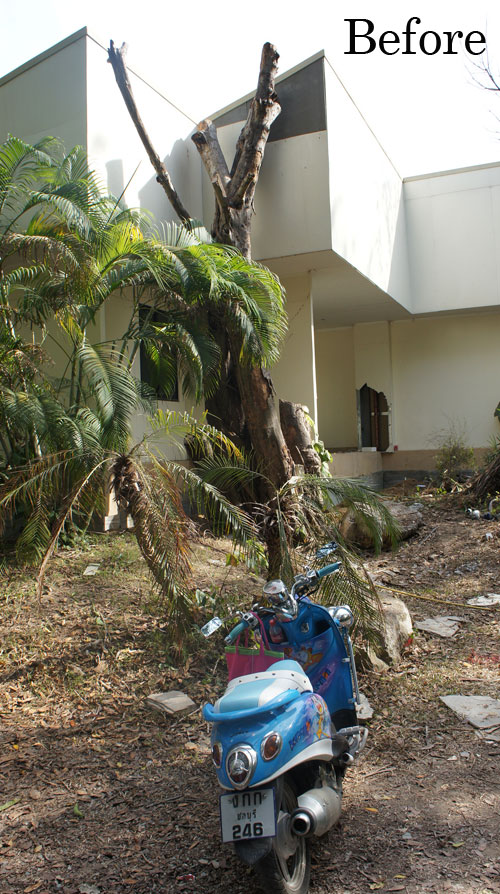old tree reused in thailand landscape design old tree reused in thailand landscape design