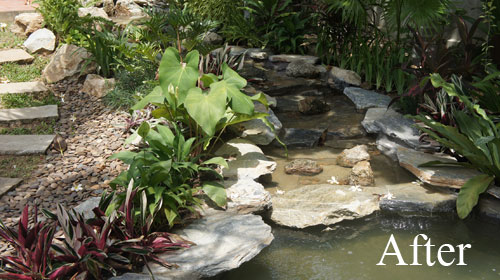 garden design and water features