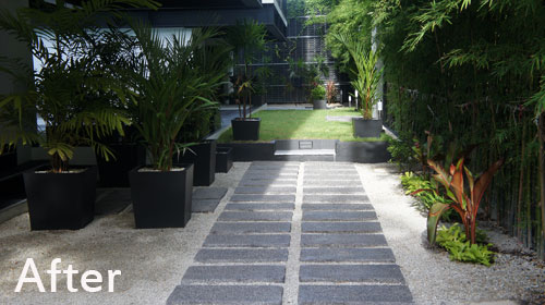 modern tropical landscaping design
