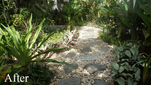 garden designed in bangkok
