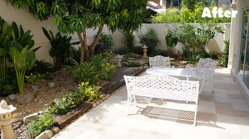 tropical garden design and landscaping
