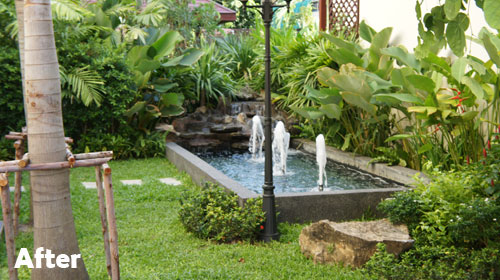tropical landscape gardening