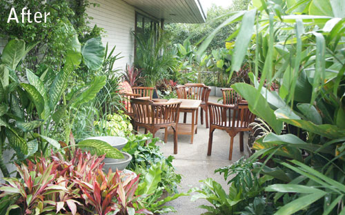 tropical balcony garden in bangkok