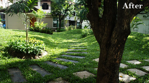 thailand garden courtyard