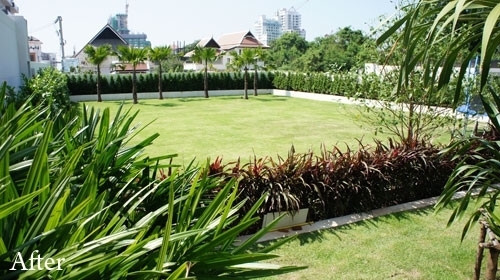 modern contemporary pattaya landscaped garden