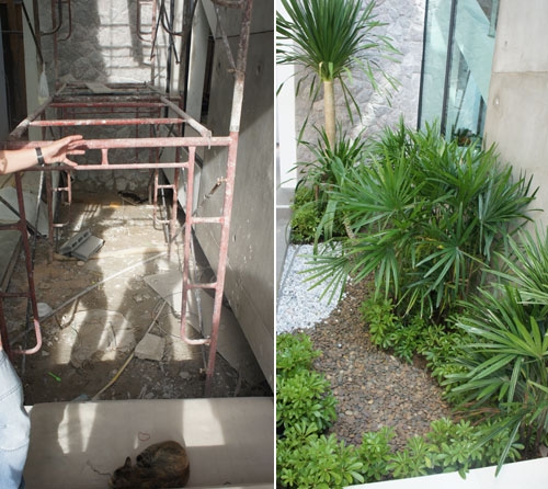 rock gardens pattaya