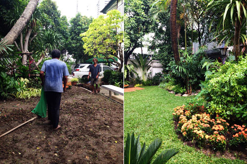 garden improvements thailand bangkok