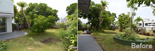 tropical bangkok roof terrace garden
