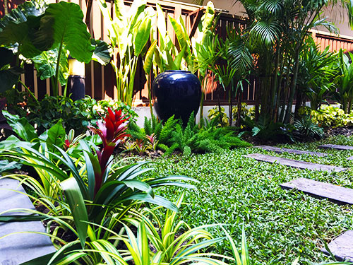 tropical landscaping plants
