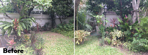 tropical garden installation team bangkok thailand