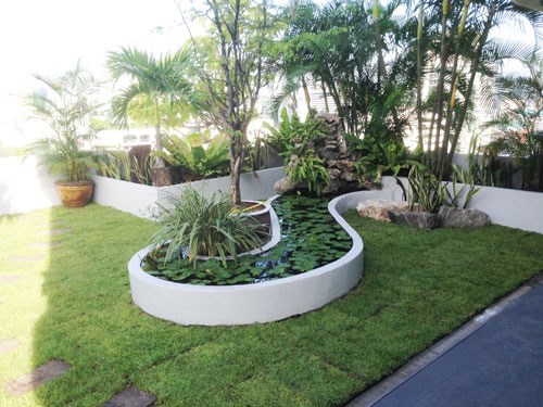 tropical roof gardens